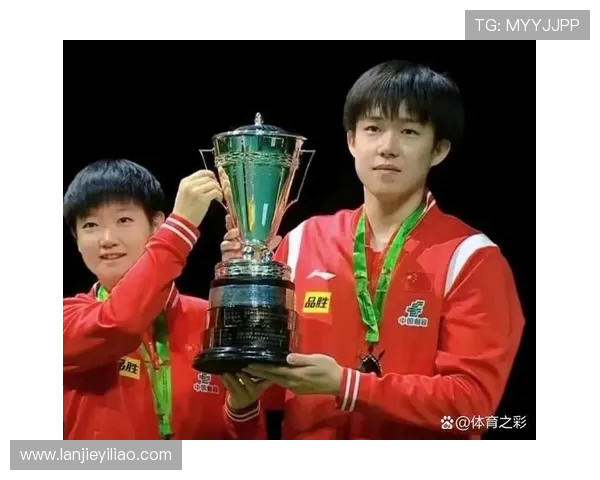 武汉乒乓球队实力强劲最新乒乓球力量排行榜前十名揭晓