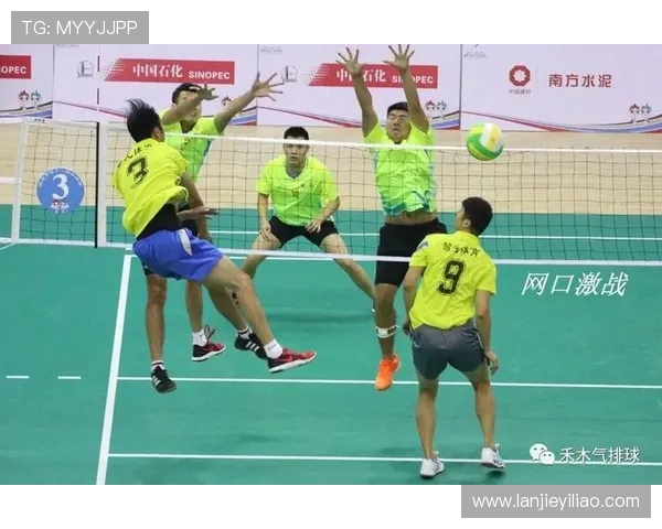 深入分析杭州羽毛球队区域防守战术及其在比赛中的应用效果
