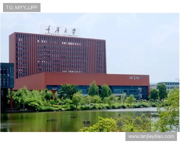 重庆篮球队的现状揭秘与未来展望全景分析